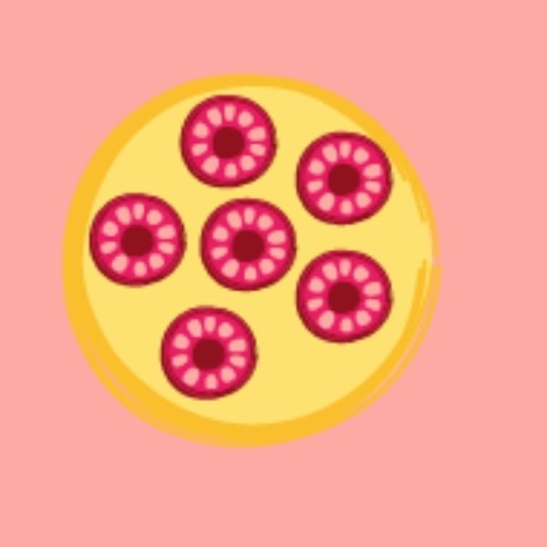 Amy's Bakes